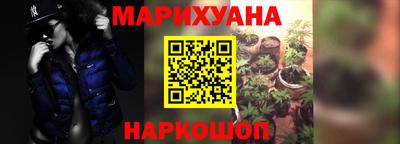 дживик Кингисепп