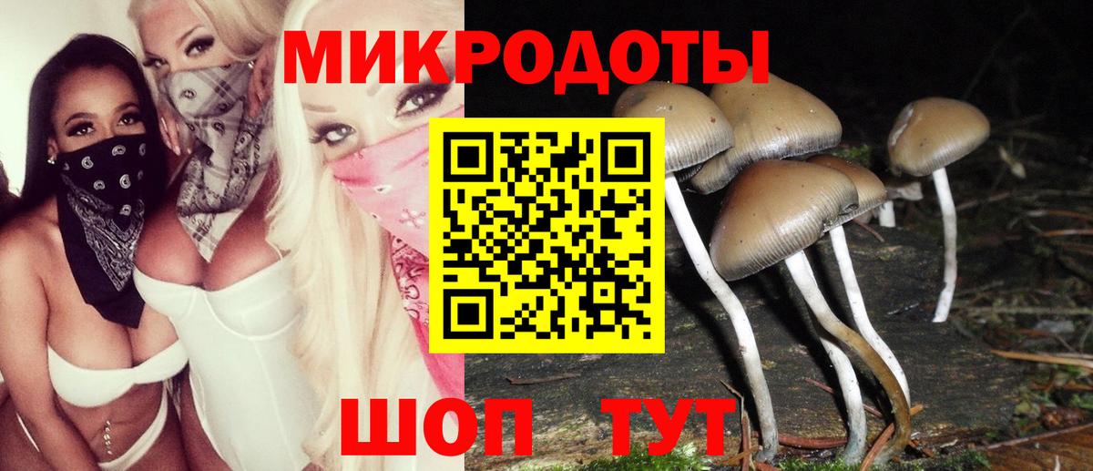 Галлюциногенные грибы Magic Shrooms  Вход с VPN  где купить наркотик  Псилоцибиновые грибы Psilocybe  Южноуральск 